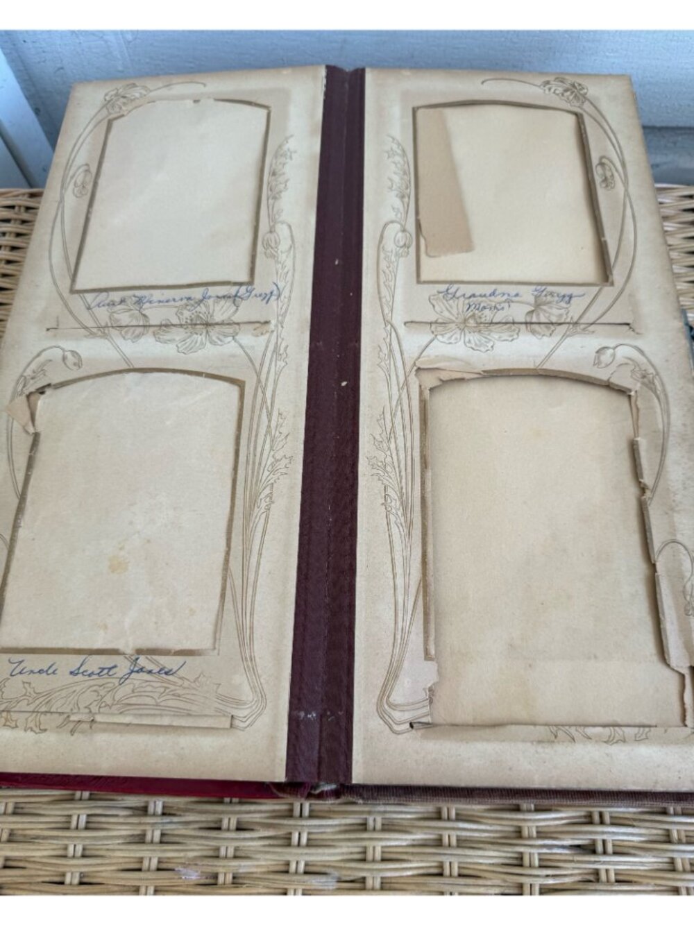 Antique 1880s Red Celluloid Velvet Photo cabinet Album - Picture 9 of 12
